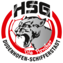 HSG Dudenhofen-Schifferstadt - Die Panther Logo